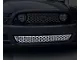 Honeycomb Lower Grille Overlay; Polished (13-14 Mustang GT)
