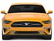 Honeycomb Style Lower Grille with LED DRL Stripes (18-23 Mustang GT, EcoBoost)
