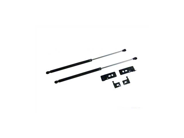 Hood Strut Kit; Black (10-14 Mustang)