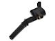 Ignition Coil (99-04 Mustang GT)