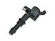 Ignition Coil (05-08 Mustang GT)