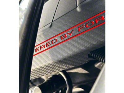 Intake Cover Letter Vinyl Inserts; Matte Black (2024 Mustang)