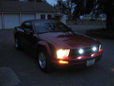 LED Halo Fog Lights (13-14 Mustang GT)