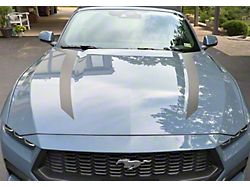 Narrow Hood Spear Decals; Red (24-26 Mustang)