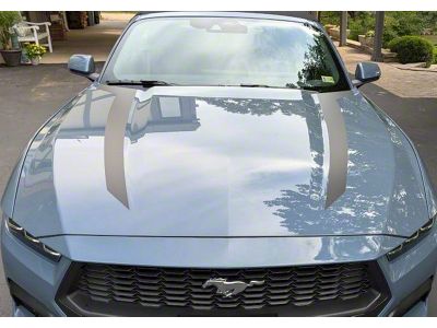 Narrow Hood Spear Decals; Silver (24-26 Mustang)