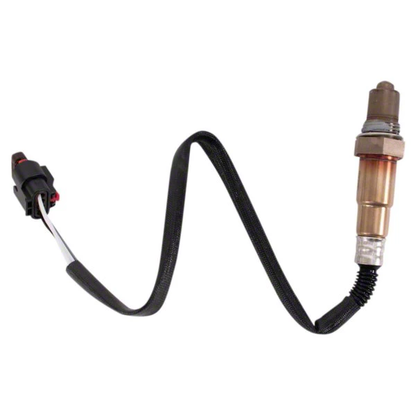 →→→⭐️タコ⭐️ セメンザルライト & VIBANQ MLotion →→→⭐️