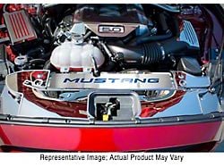 Polished/Brushed Radiator Cover with Mustang Lettering; Black Carbon Fiber (15-17 Mustang GT, EcoBoost, V6)