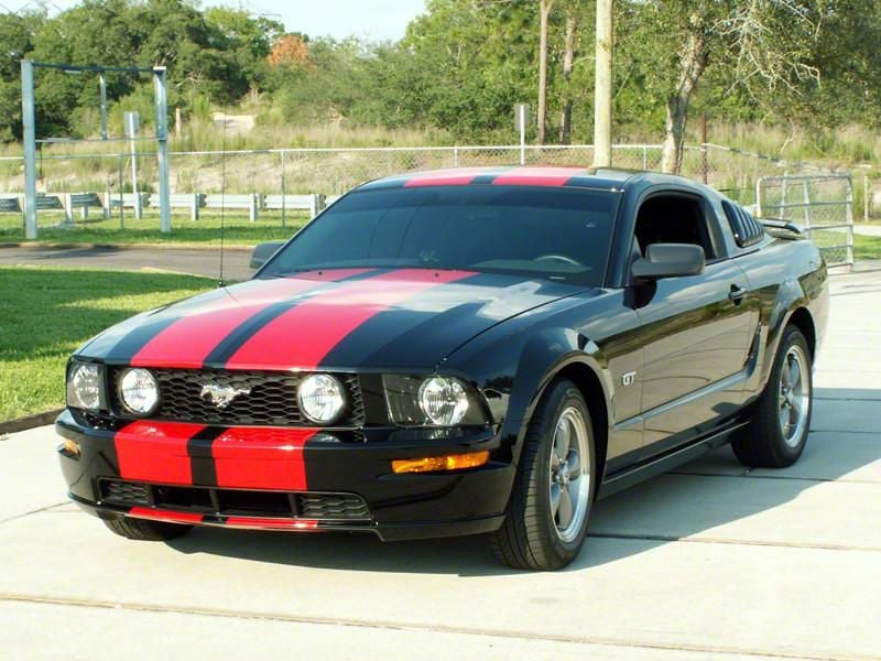 Mustang Racing Stripes; Black (05-09 Mustang GT) - Free Shipping