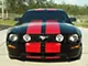 Racing Stripes; Red (05-09 Mustang GT)