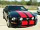 Racing Stripes; Silver (05-09 Mustang GT)