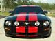 Racing Stripes; Silver (05-09 Mustang GT)