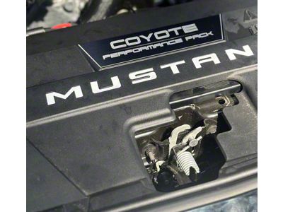 Radiator Shroud Letter Vinyl Inserts; Dark Yellow (24-25 Mustang)