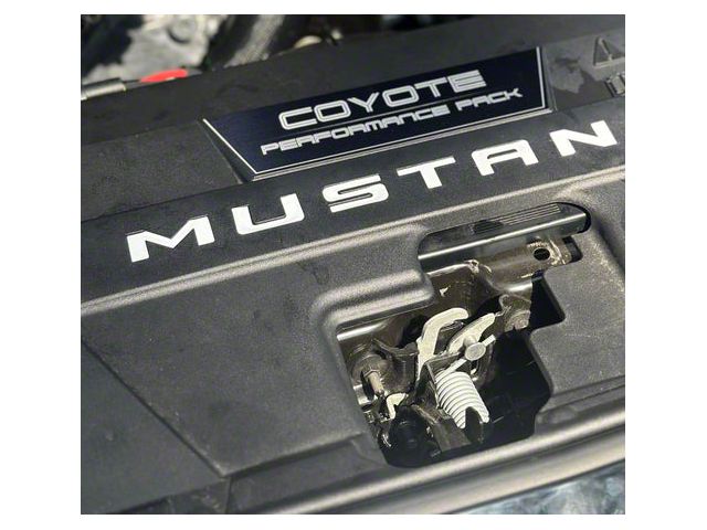 Radiator Shroud Letter Vinyl Inserts; Light Ash Grey (2024 Mustang)