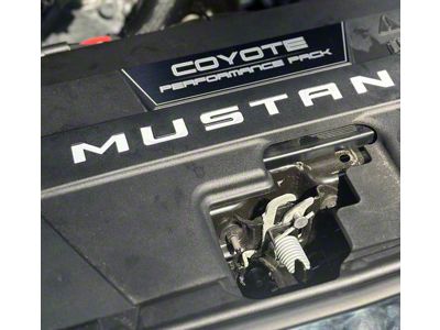 Radiator Shroud Letter Vinyl Inserts; Silver (2024 Mustang)
