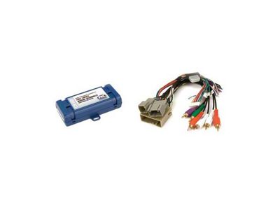 Radio Replacement Interface (05-13 Mustang)