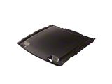 Rain Tray Cover; Carbon Fiber (20-22 Mustang GT500)
