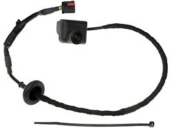 Rear Park Assist Camera (10-14 Mustang)