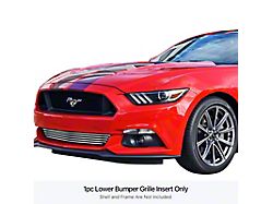 Stainless Steel Billet Lower Bumper Grille Overlay; Polished (15-17 Mustang GT)