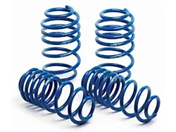 Super Sport Springs (2010 Mustang GT, V6; 07-14 Mustang GT500)