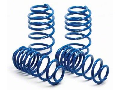 Super Sport Springs (2010 Mustang GT, V6; 07-14 Mustang GT500)