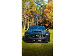 Terminator Hood; Single Sided Carbon Fiber (24-25 Mustang)