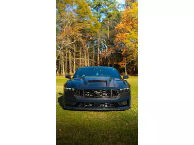 Terminator Hood; Single Sided Carbon Fiber (24-25 Mustang)