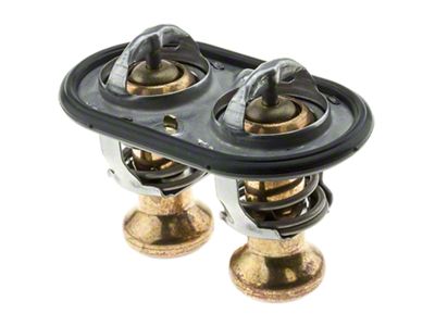 Thermostat with Seal; 200-Degree (20-22 Mustang GT500)