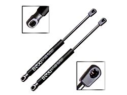 Trunk Lift Support Struts (15-23 Mustang w/ Spoiler)