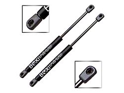 Trunk Lift Support Struts (05-14 Mustang)