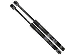 Trunk Lift Support Struts (94-04 Mustang)
