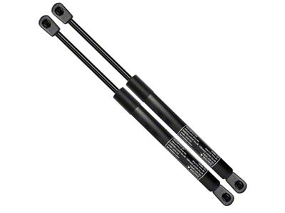 Trunk Lift Support Struts (94-04 Mustang)