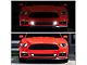 Vertical Style Lower Grille with LED DRL Stripes (15-17 Mustang GT, EcoBoost, V6)