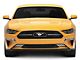 Vertical Style Lower Grille with LED DRL Stripes (18-23 Mustang GT, EcoBoost)