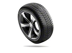 Nexen Winguard Winsport 2 Tire (255/40R19)