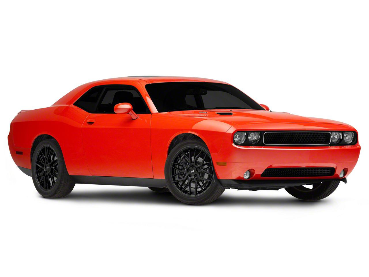niche-challenger-gamma-gloss-
