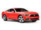 Niche Teramo Anthracite Brushed Face Tint Clear Wheel; Rear Only; 20x11 (15-23 Mustang GT, EcoBoost, V6)