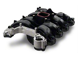 Intake Manifold with Gasket Set (96-98 Mustang GT)