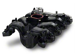 Intake Manifold with Gasket Set (96-98 Mustang GT)