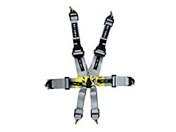 NRG Innovations FIA HANS Approved 6-Point Rotary Cam-Lock Racing Seat Belt Harness; Silver (Universal; Some Adaptation May Be Required)