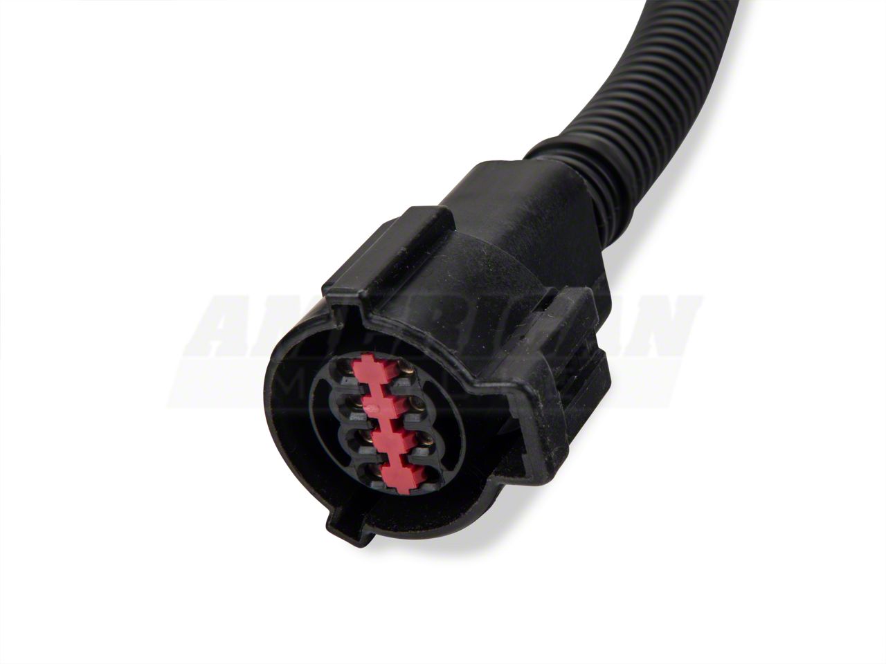Mustang O2 Sensor Wire Harness (96-98 4.6L Mustang) - Free