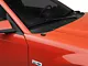 OPR Antenna Delete Plate (94-04 Mustang)