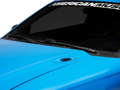 Hood Scoop Insert (94-98 Mustang GT, V6)