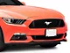 OPR Front License Plate Bracket (15-17 Mustang; 18-20 Mustang GT350)