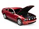 OPR Radiator Cover (05-09 Mustang GT, V6)