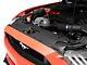 OPR Radiator Cover (15-17 Mustang GT, EcoBoost, V6)