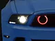 Oracle LED Halo Fog Light Conversion Kit (13-14 Mustang GT)