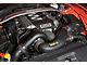 Paxton NOVI 2200 H/D Supercharger Tuner Kit; Black Finish (15-17 Mustang GT)