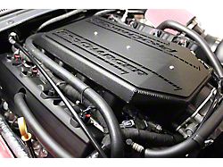 Procharger Competition Race Supercharger Tuner Kit with F-1D, F-1 or F-1A; Satin Finish (17-24 Camaro ZL1)