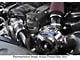 Procharger High Output Intercooled Supercharger Complete Kit with P-1SC-1; Black Finish (12-14 6.4L HEMI Charger)