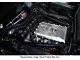 Procharger Stage II Intercooled Supercharger Complete Kit with P-1SC-1; Polished Finish (20-24 Corvette C8 Convertible, Excluding Z06)